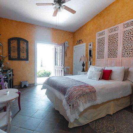 Vina Calabria Bed & Breakfast Вале де Гуадалупе Екстериор снимка