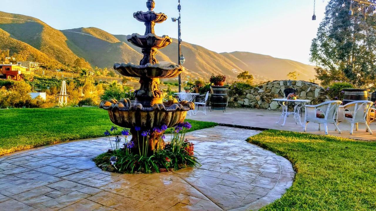 Vina Calabria Bed & Breakfast Вале де Гуадалупе Екстериор снимка