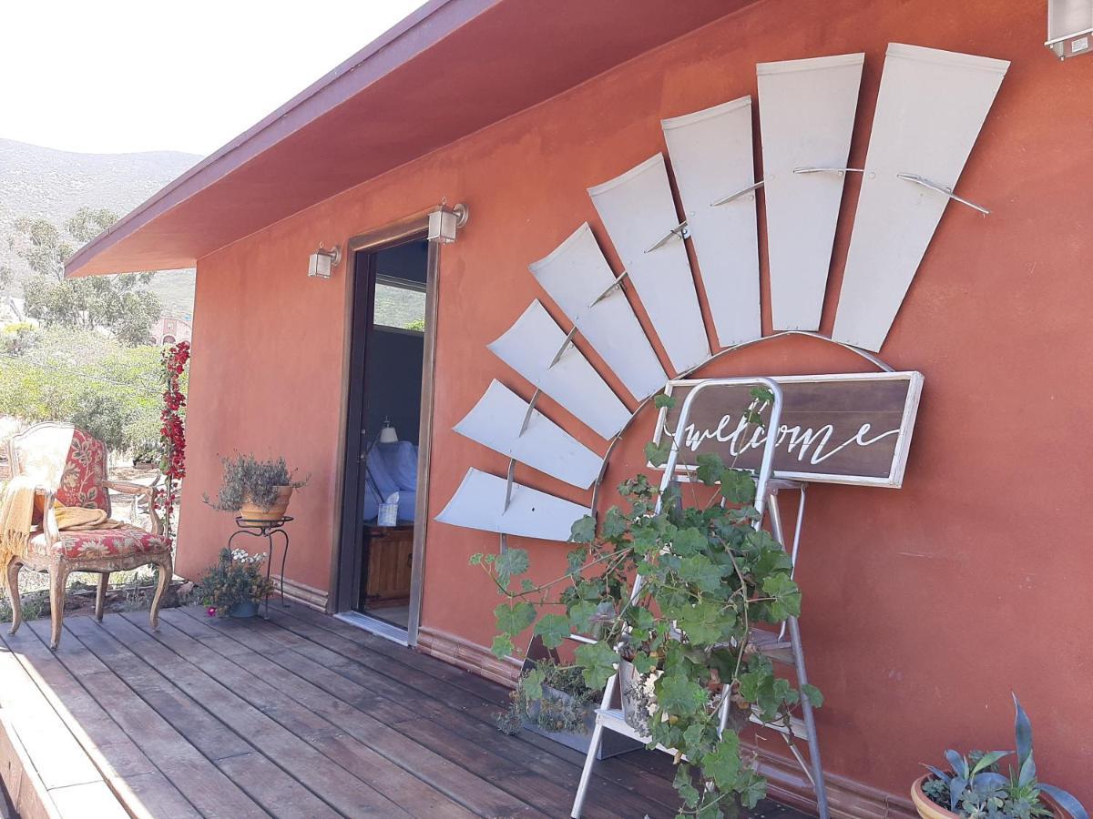 Vina Calabria Bed & Breakfast Вале де Гуадалупе Екстериор снимка