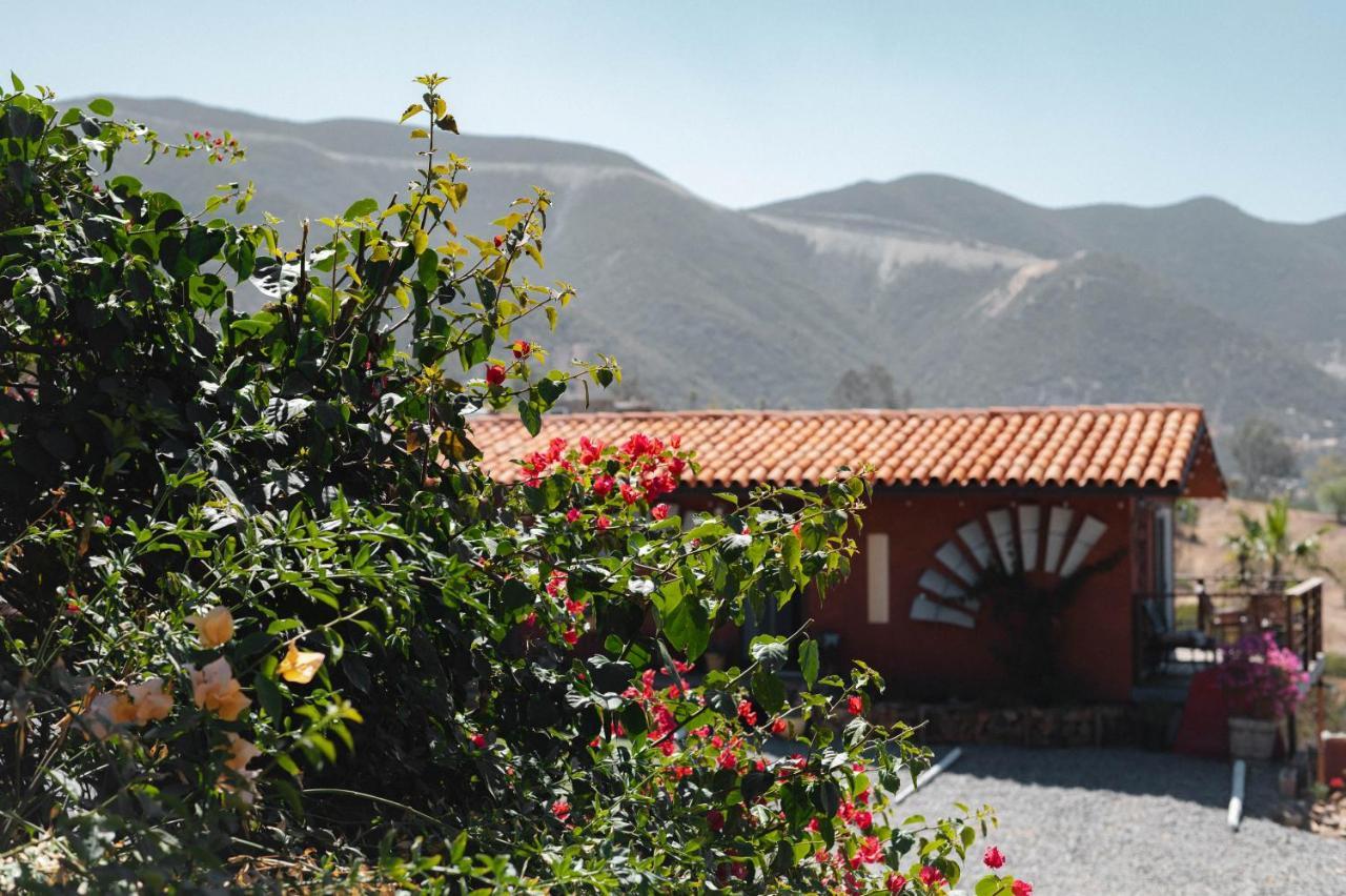 Vina Calabria Bed & Breakfast Вале де Гуадалупе Екстериор снимка