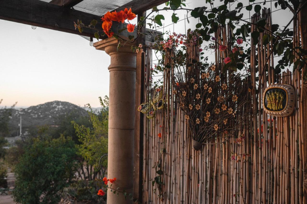 Vina Calabria Bed & Breakfast Вале де Гуадалупе Екстериор снимка
