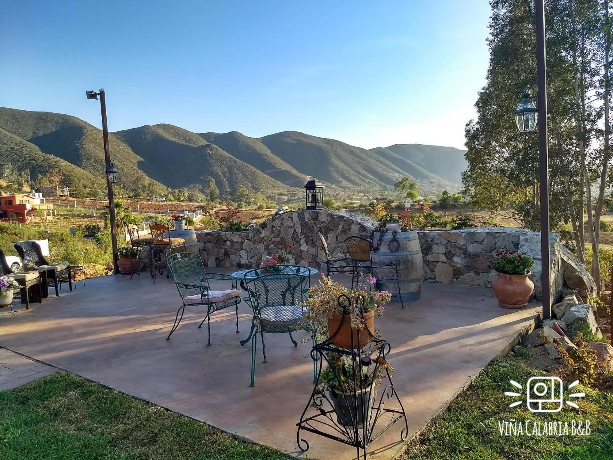 Vina Calabria Bed & Breakfast Вале де Гуадалупе Екстериор снимка